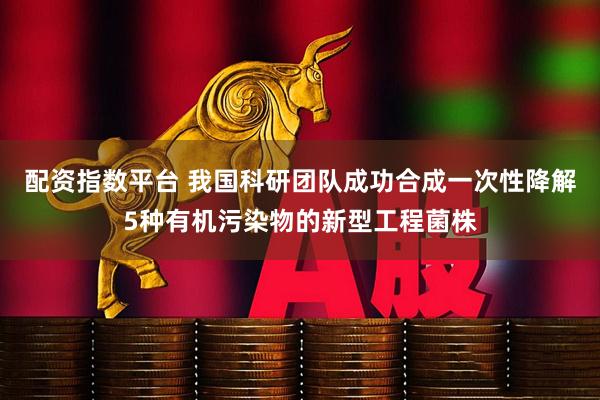 配资指数平台 我国科研团队成功合成一次性降解5种有机污染物的新型工程菌株